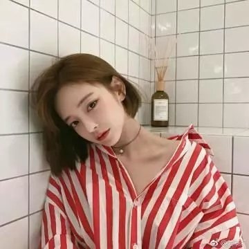梅花档案
